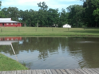 Farm Aerator in a Pond