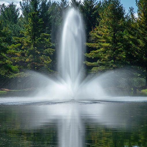 Fountain Bloom Spray pattern Blossom spray pattern for LakeSeries® pond fountains