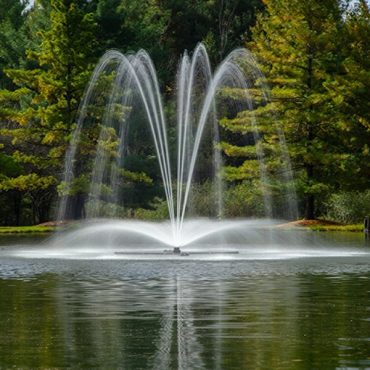 LakeSeries® Pond Fountains. Blossom fountain pattern