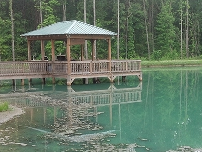 Pond Weeds_Small Pond Algae in a pond by a Gazebo