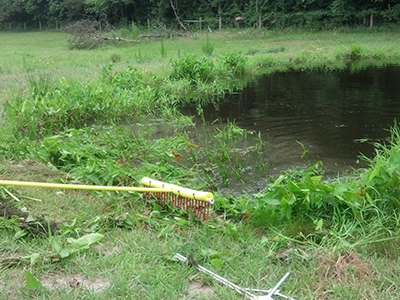 Rake CleanUp Manual Pond Clean Up