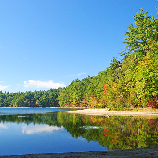 Shoreline_Aerator Aeration on a shoreline of a pond