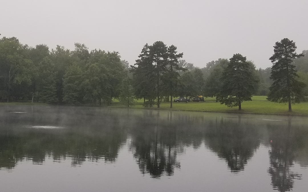 How Pond Aeration Works? A Complete Guide for Property Owners