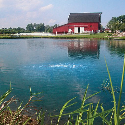 Farm Pond Aeration on a shoreline of a pond