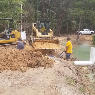 Decades of Expertise 