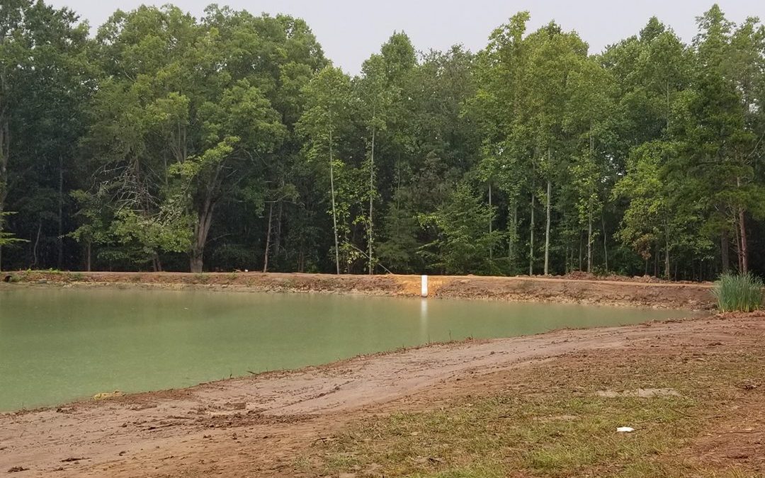 Building a Pond In North Carolina