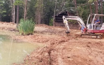 Better Pond Blog 4 Should I Add Fish and Plants to My New Pond?