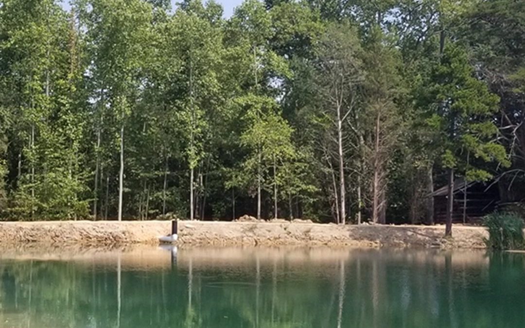 Pond Construction Professionals in North Carolina