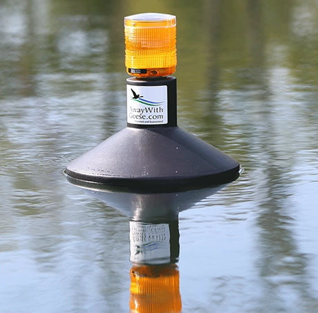 Sweeney Directional Fish Feeder