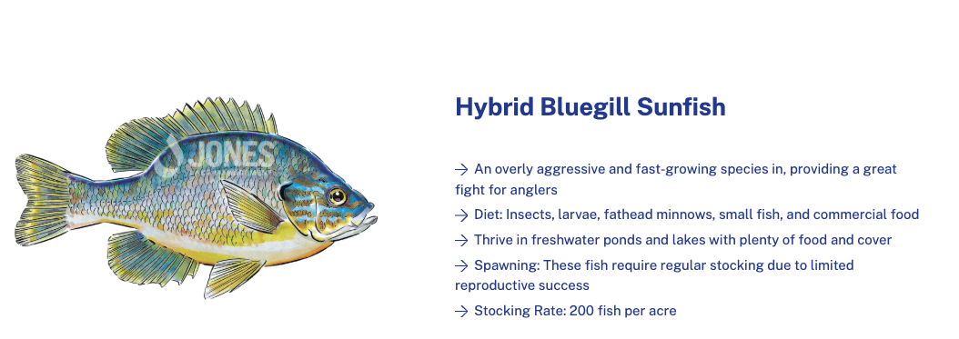 Screenshot 2026 04 09 at 4.55.43 PM