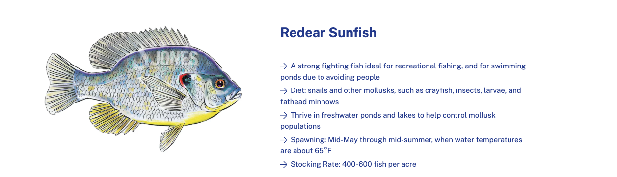 Screenshot 2026 04 09 at 5.08.05 PM