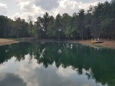 Pond Dye